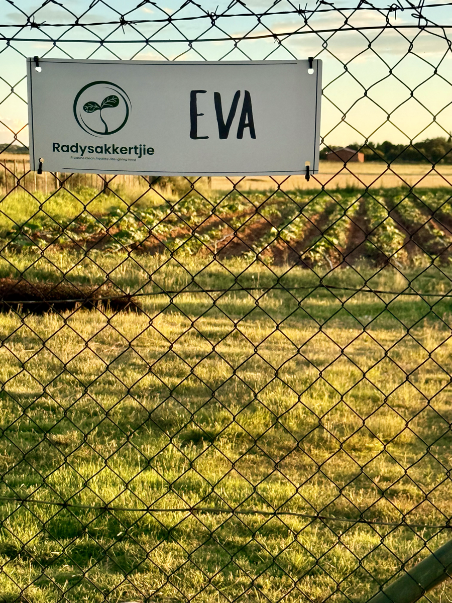 Camp Eva