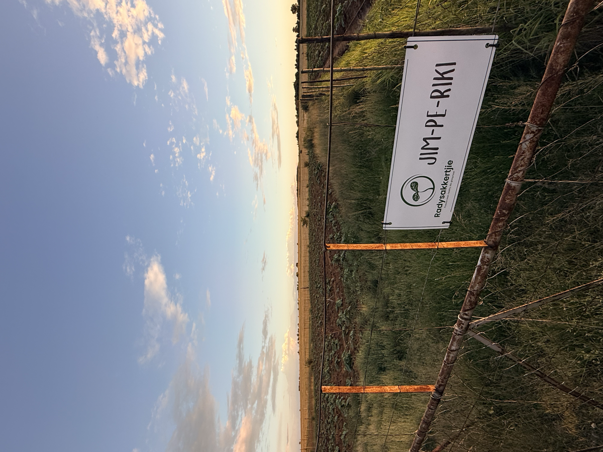 Camp Jimperiki